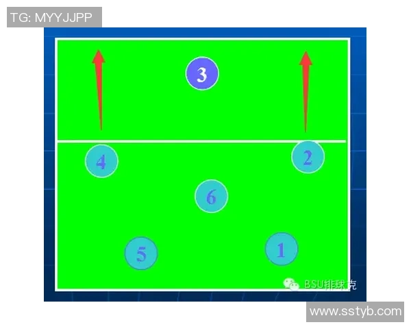 武汉排球队战术创新引领排球新潮流成就辉煌排名 武汉排球队战术创新引领排球新潮流成就辉煌排名