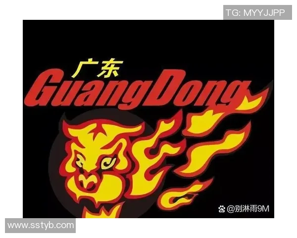 武汉篮球队实力强劲荣登全国篮球实力排行榜第二名