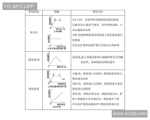 南京足球队的战术变革与球员表现分析及其对比赛结果的影响